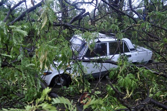 На трассе Одесса-Ильичёвск на машину рухнуло дерево.