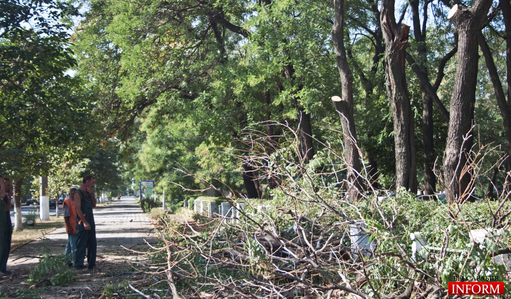 Измаил: в центральных скверах очищают деревья