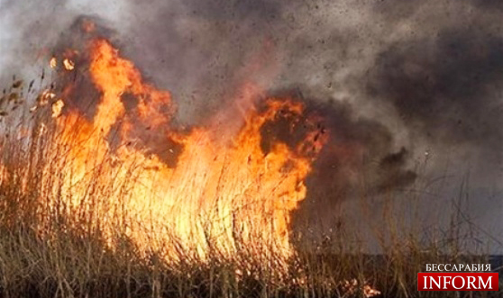 Юг Украины в огне: пожар в Татарбунарском районе