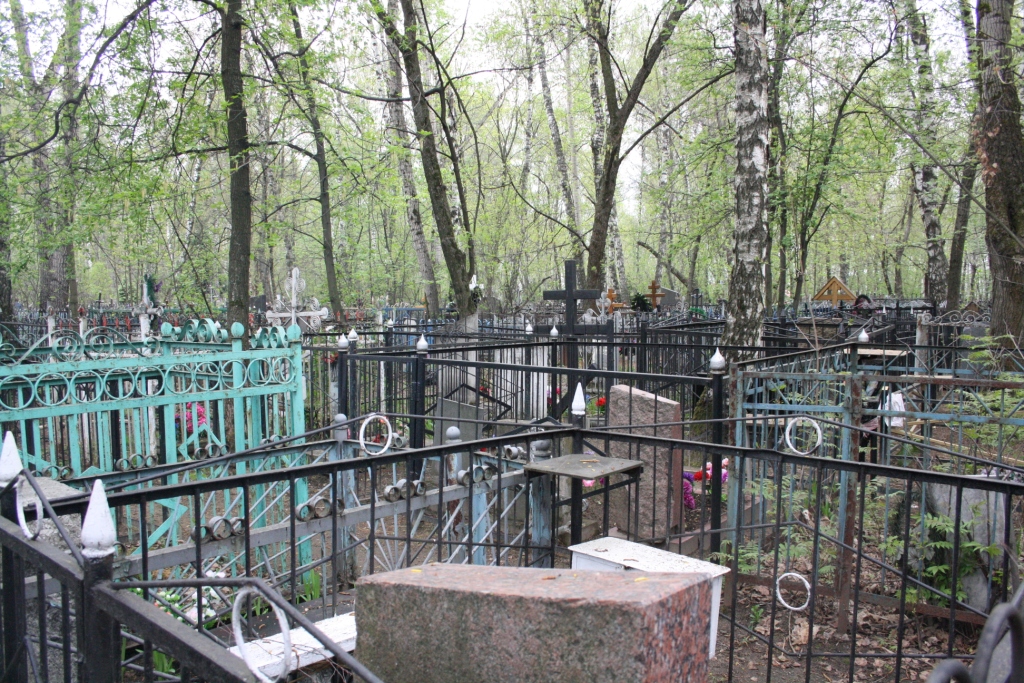 В деревне Старая Некрасовка Измаильского района вандал воровал металл на кладбище.
