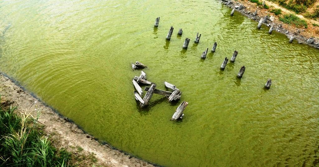 Килийский район теряет озеро Китай!? (фото)