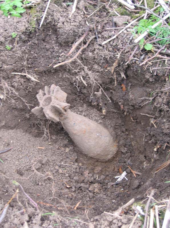 В Измаильском районе нашли минометную мину.