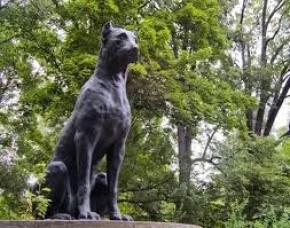 В Одессе появится кладбище для животных