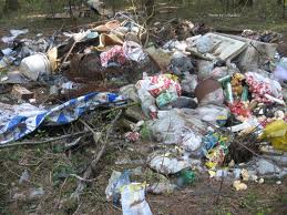 В Ильичёвске аферист решил "подзаработать" на мусоре