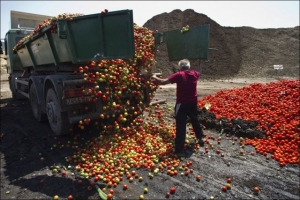 Бессарабия готовится к продовольственному кризису?