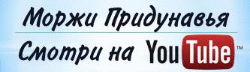 Ad Code