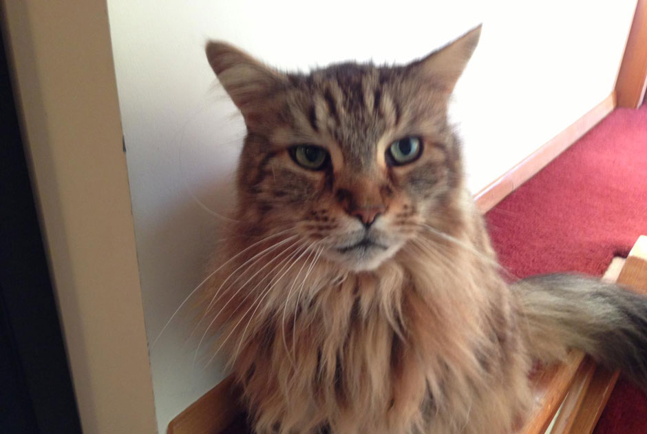 peter_jackson_hobbit (15)