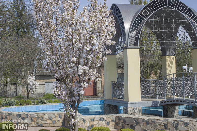 lovetree-sakyda-izmail (2)