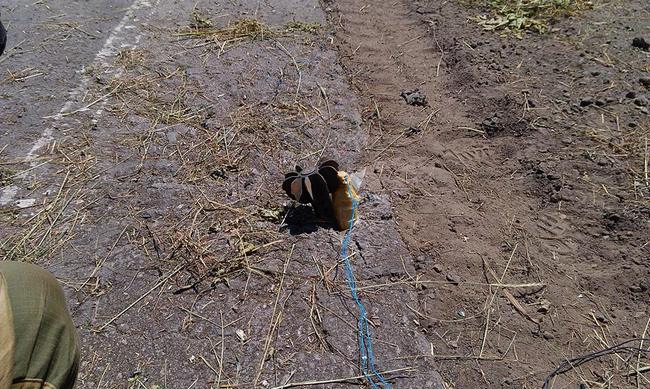 ea3897c2a196521a79782e476bbc4d85