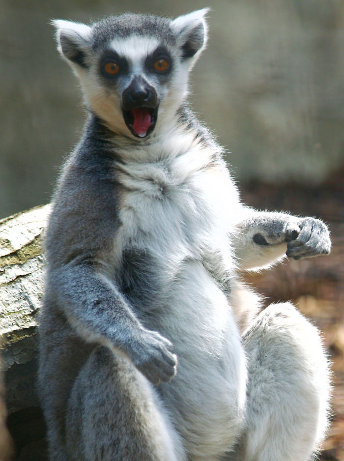 a040dd3d756f780c55217b6a4e3aa650