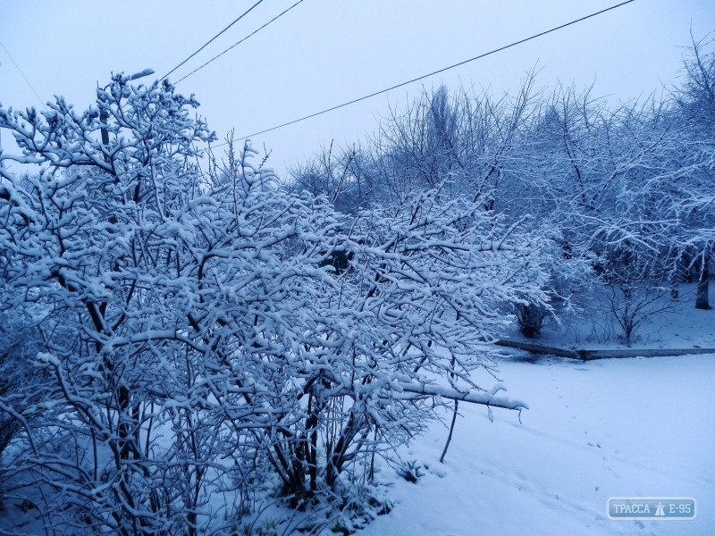 78773-sneg-zasypal-severnye-rajony-odesskoj-oblasti-big