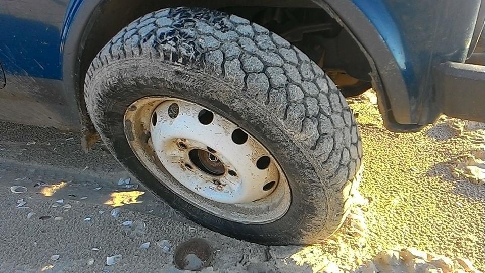 Браконьеры пытались похитить колеса из служебного автомобиля нацпарка "Тузловские лиманы"