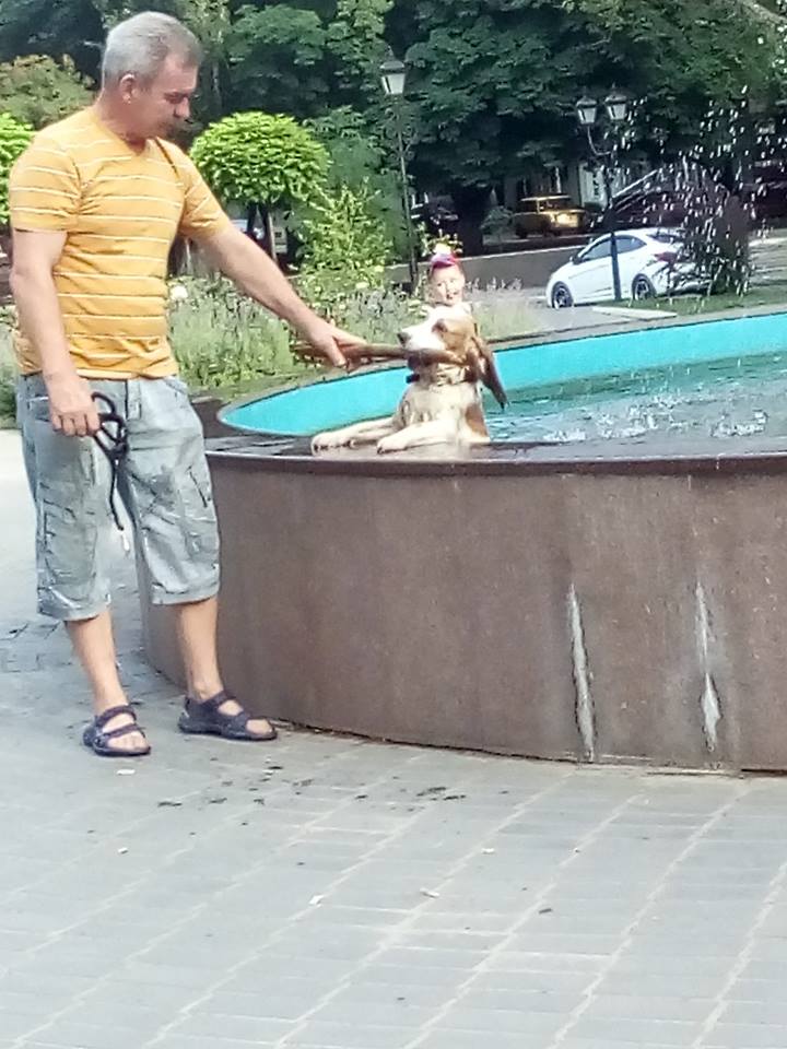 Фотофакт: житель Измаила искупал собаку в Клушинском фонтане