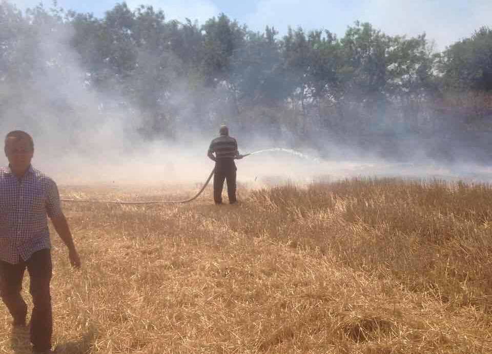 В Килийском районе фермеры сжигают стерню вместе с лесопосадками и животными