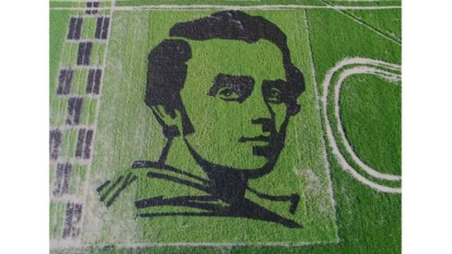 Украинские селекционеры из рисовых посевов создали гигантский портрет Кобзаря