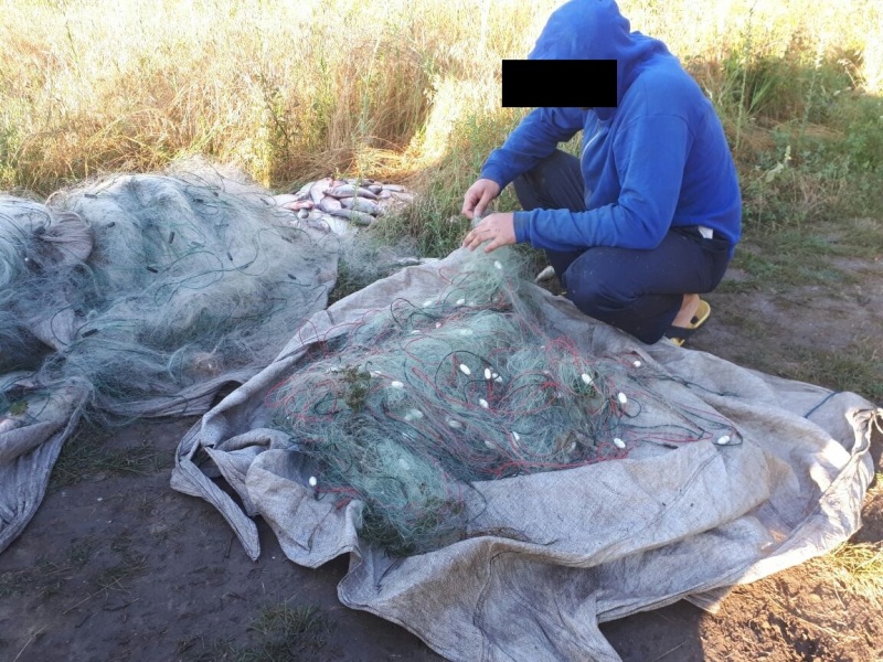 На озере Ялпуг поймали браконьера с полными сетями рыбы