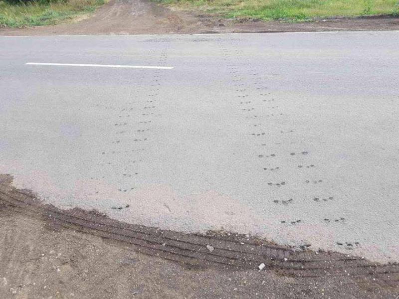 "Х*ен нам, а не дороги!": дорогу Спасское-Вилково "убивают" гусеничные тракторы (фотофакт)