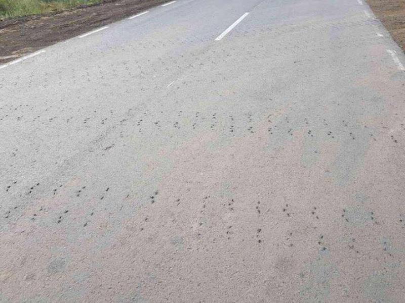 "Х*ен нам, а не дороги!": дорогу Спасское-Вилково "убивают" гусеничные тракторы (фотофакт)