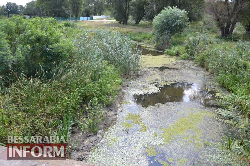 Специалисты осмотрели требующий срочной расчистки канал Общественный в Измаильском районе
