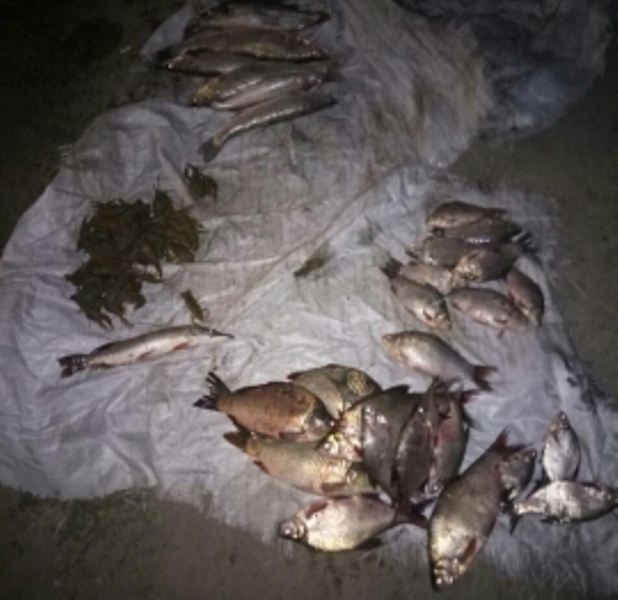 В Измаильском районе на озере Катлабух поймали на горячем очередного браконьера
