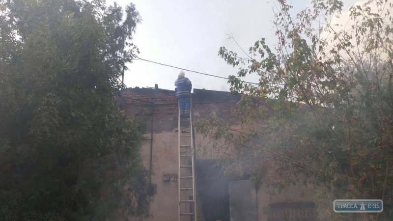 Измаильские пожарные тушили склад с материалами для изготовления веников.