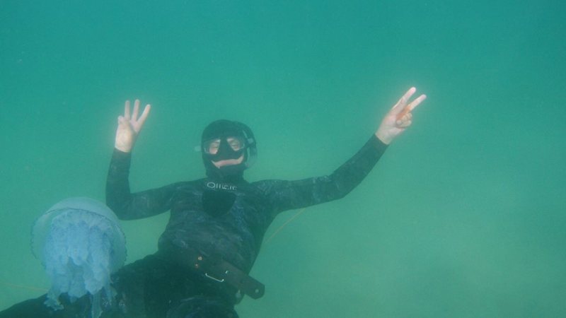 На одесском побережье Черного моря запечатлели гигантских медуз