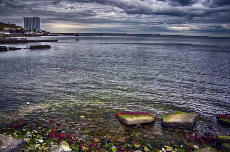 Опасная красота: необычная окраска валунов на одесских побережьях сигнализирует об экологической проблеме
