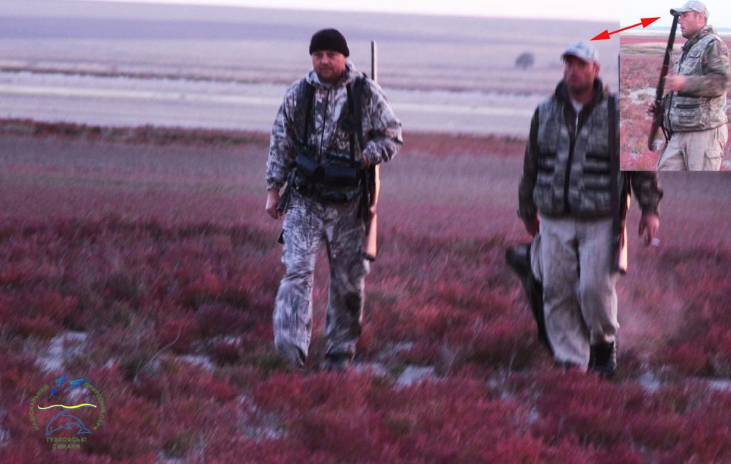 НПП "Тузловские лиманы": идиллию краснокнижных птиц, готовящихся к перелету, нарушили выстрелы браконьеров