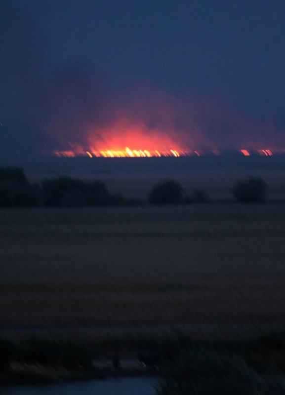 Пожар в Нижнеднестровском национальном природном парке: пламя было видно из автотрассы М-15