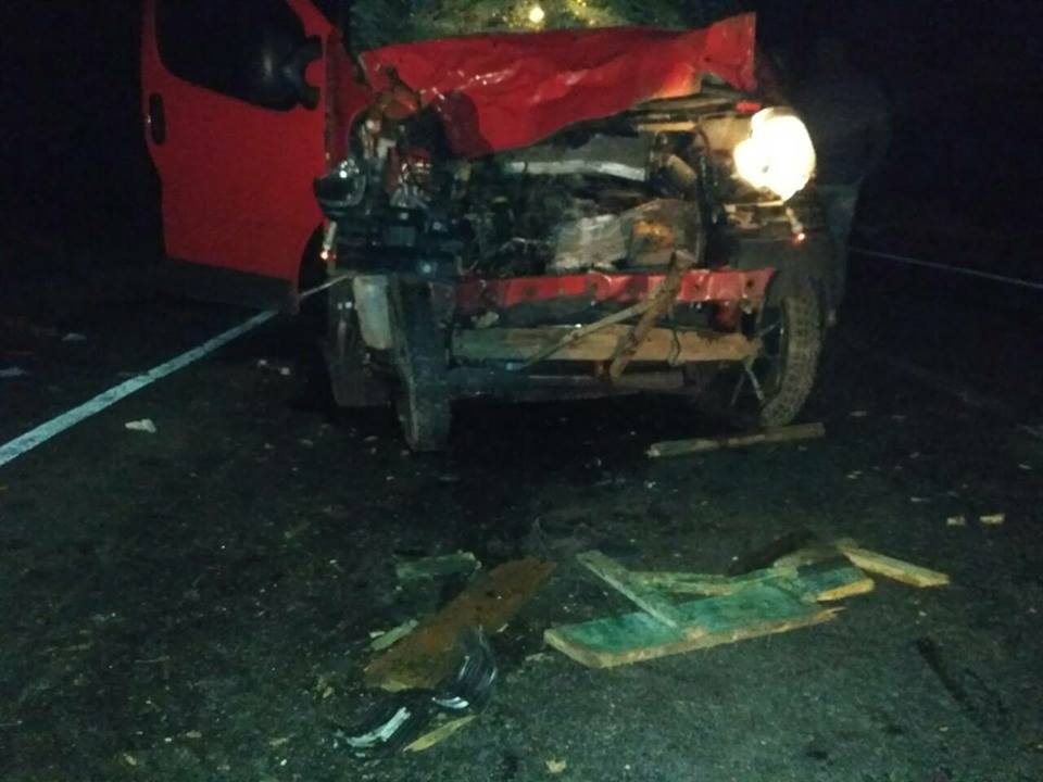 В Болградском районе микроавтобус "влетел" в гужевую повозку, три человека и лошадь погибли
