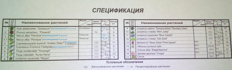 В мэрии Измаила показали, что появится на месте вырубленных деревьев на площади Мира