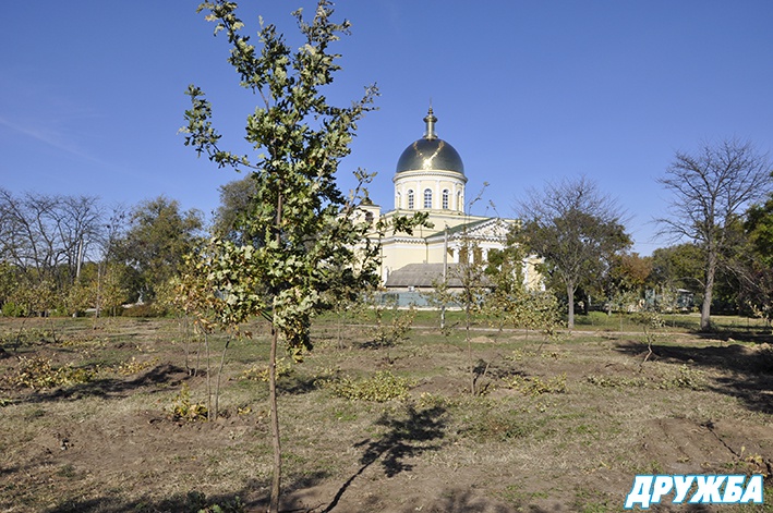 В Болграде на месте запущенного парка появилась дубовая роща