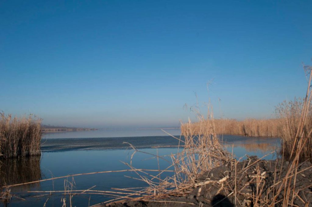 Изможденные Старонекрасовские плавни все не могут напиться: вода из Дуная так и не доходит до озер