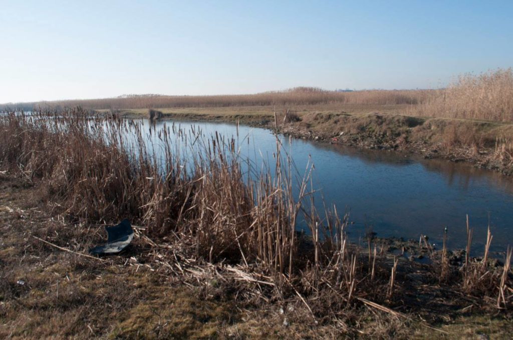 Изможденные Старонекрасовские плавни все не могут напиться: вода из Дуная так и не доходит до озер