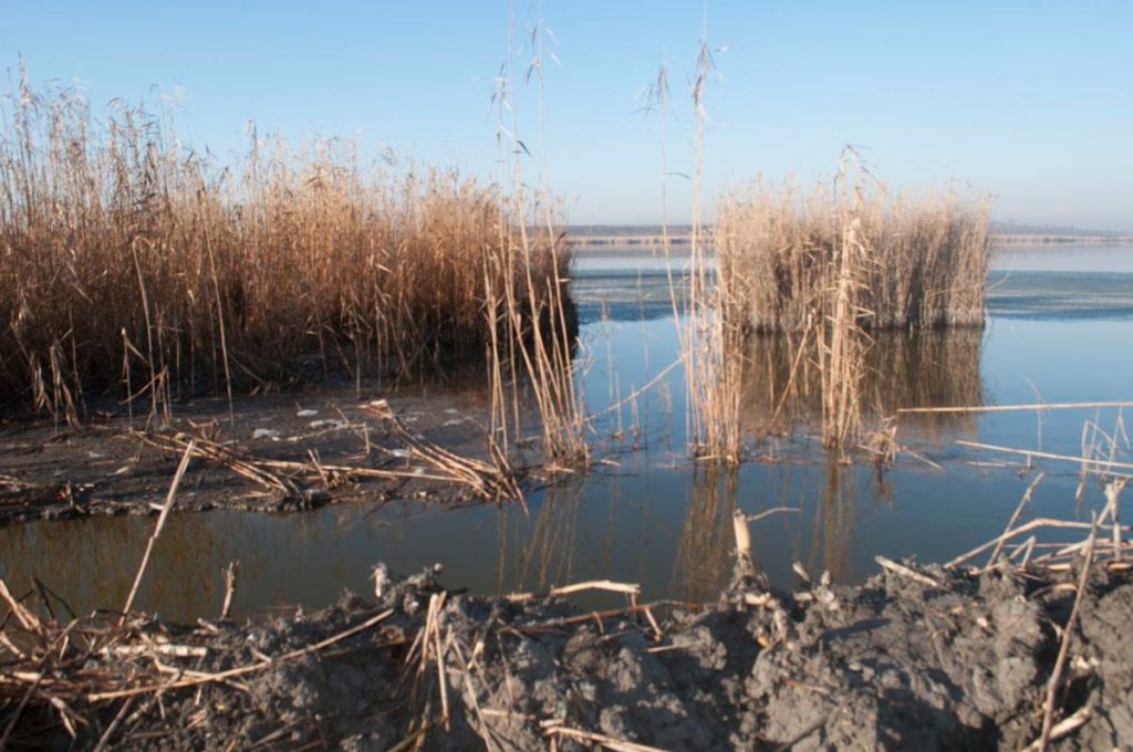 Старонекрасовские плавни все не могут напиться: вода из Дуная так и не доходит до озер