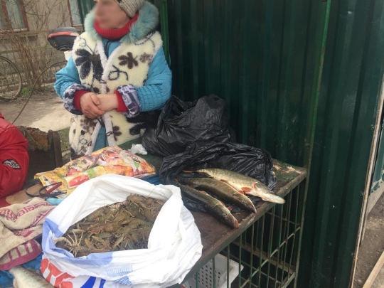 На озерах Одесской области рыбоохранный патруль за неделю изъял у браконьеров 230 кг рыбы и 60 орудий лова