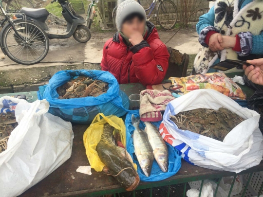 На озерах Одесской области рыбоохранный патруль за неделю изъял у браконьеров 230 кг рыбы и 60 орудий лова