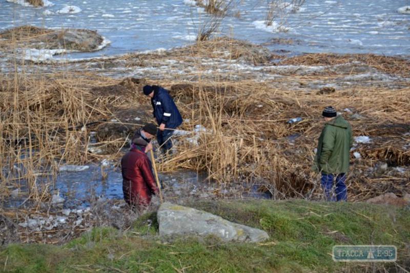 На озере Ялпуг люди добывают из-подо льда на корм животным массово погибшего малька