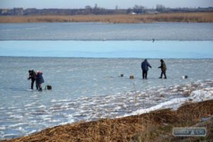 На озере Ялпуг люди добывают из-под льда на корм животным массово погибшего малька