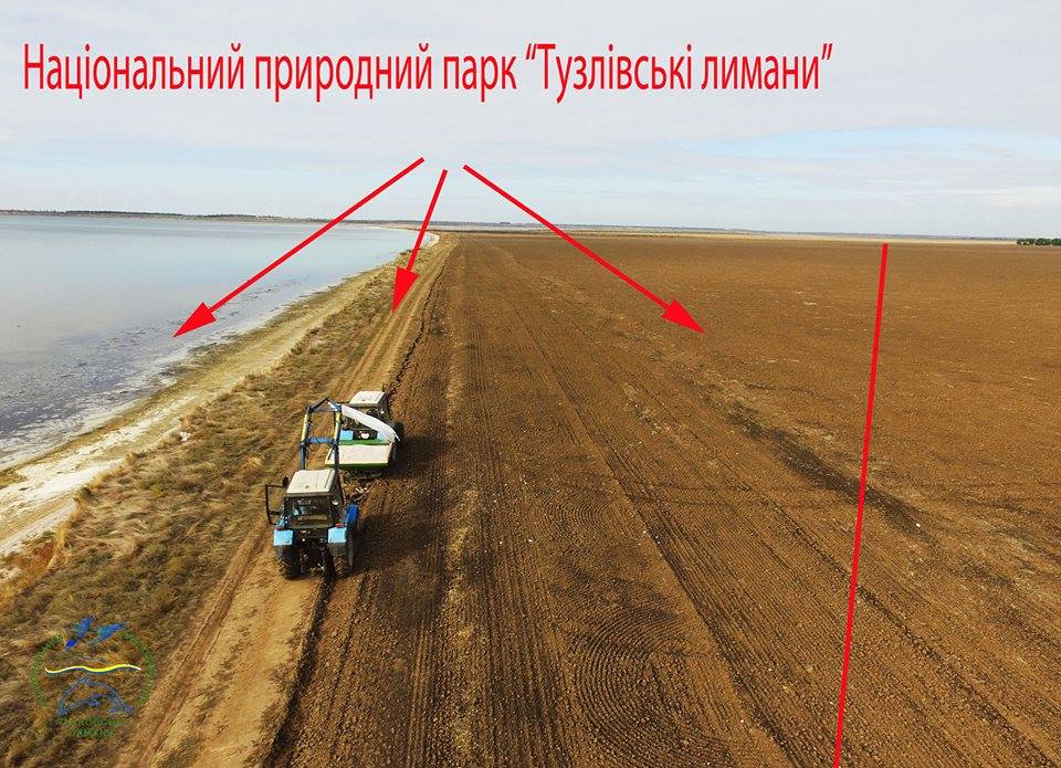 Распашка природоохранных земель в Татарбунарском районе лишила пристанища журавлей