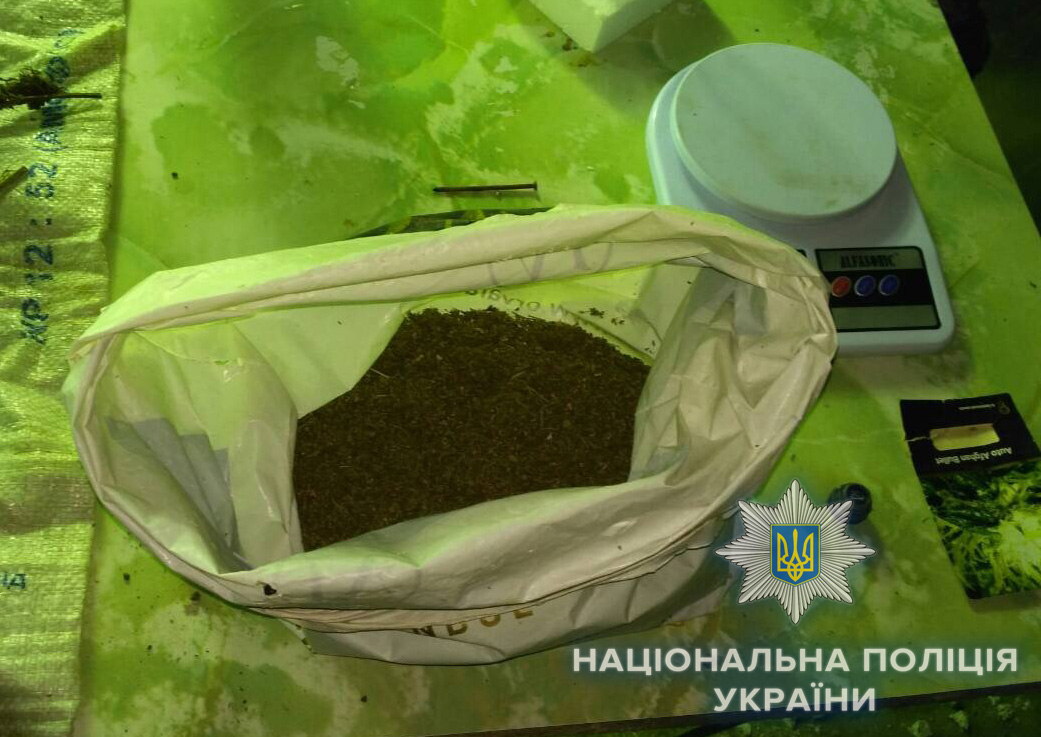 Житель Болграда обустроил теплицу для конопли в арендованном подвале (фото)