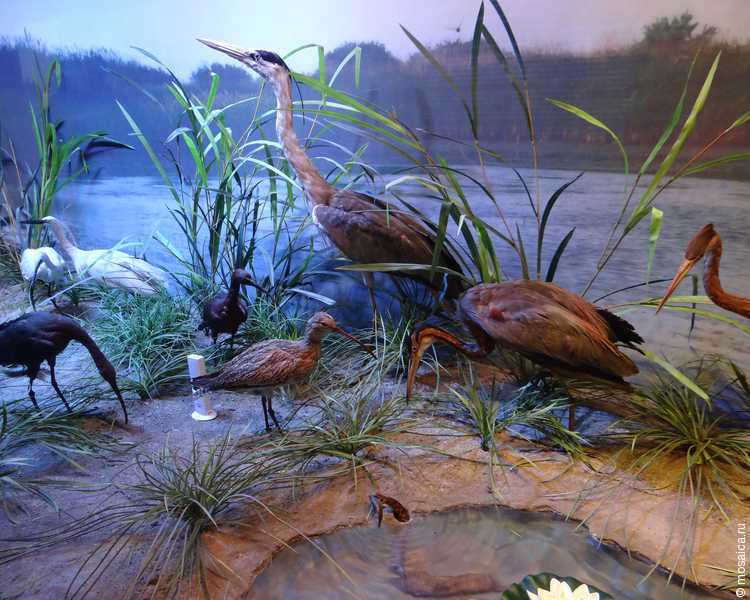 Наши в Румынии: в Бухаресте побывала делегация студентов и этнических румын из Измаила