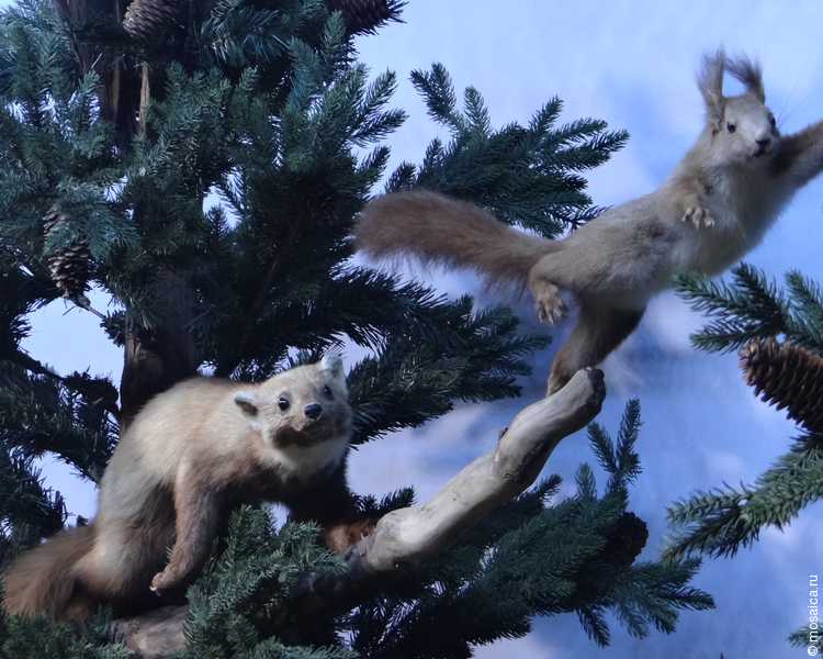 Наши в Румынии: в Бухаресте побывала делегация студентов и этнических румын из Измаила