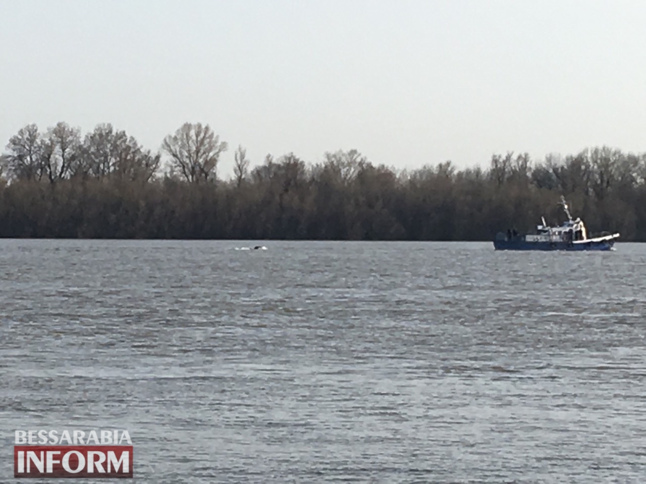 На Дунае в районе Измаила всплыли две плавучие полутонные мины (обновлено)