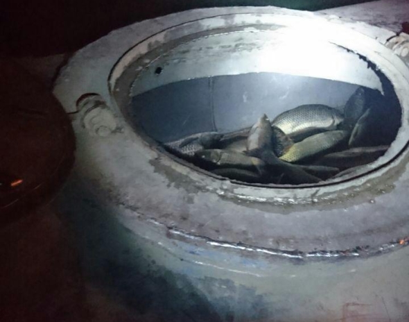 В Измаиле рыбоохрана совместно с полицией изъяли у нарушителя 400 кг.