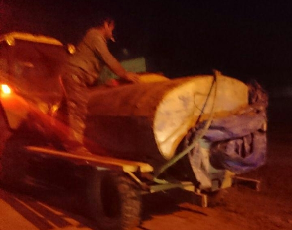 В Измаиле рыбоохрана совместно с полицией изъяли у нарушителя 400 кг.