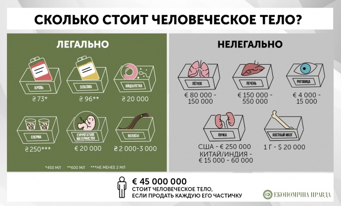 Сколько стоит почка в Украине и как зарабатывают на собственном теле?