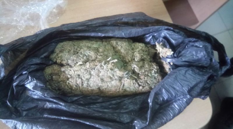 В Старокозачьем собака обнаружила марихуану в багаже ​​у гражданина Молдовы