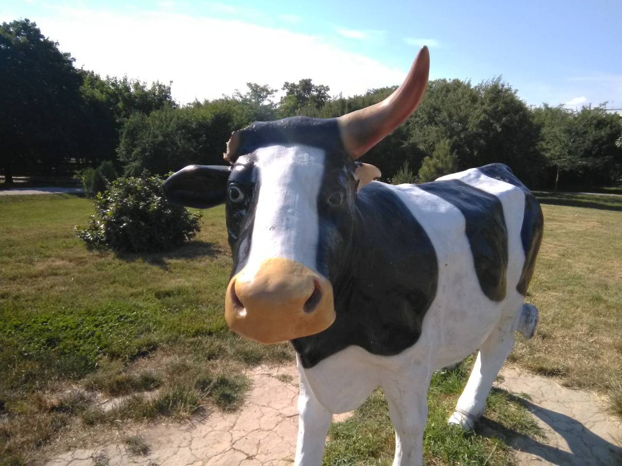 Фотофакт: в Измаиле статуям коров на набережной Дуная обломали рога и уши