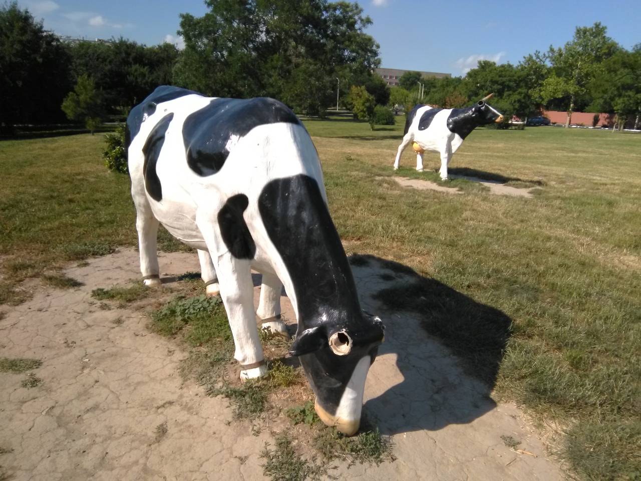 Фотофакт: в Измаиле статуям коров на набережной Дуная обломали рога и уши